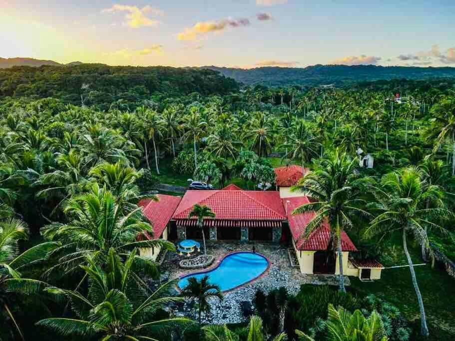 Palm House - Luxury Villa - Samana - Ocean Front Sánchez Екстериор снимка
