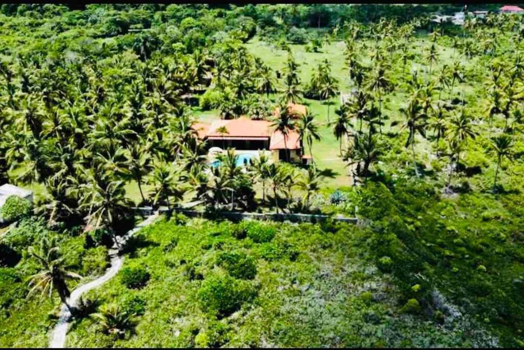 Palm House - Luxury Villa - Samana - Ocean Front Sánchez Екстериор снимка