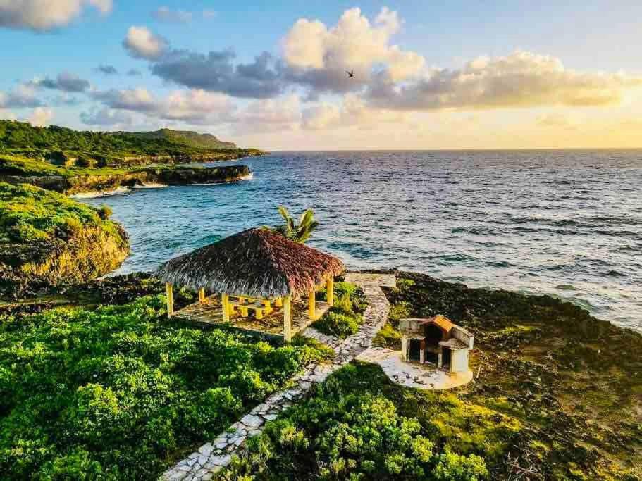 Palm House - Luxury Villa - Samana - Ocean Front Sánchez Екстериор снимка