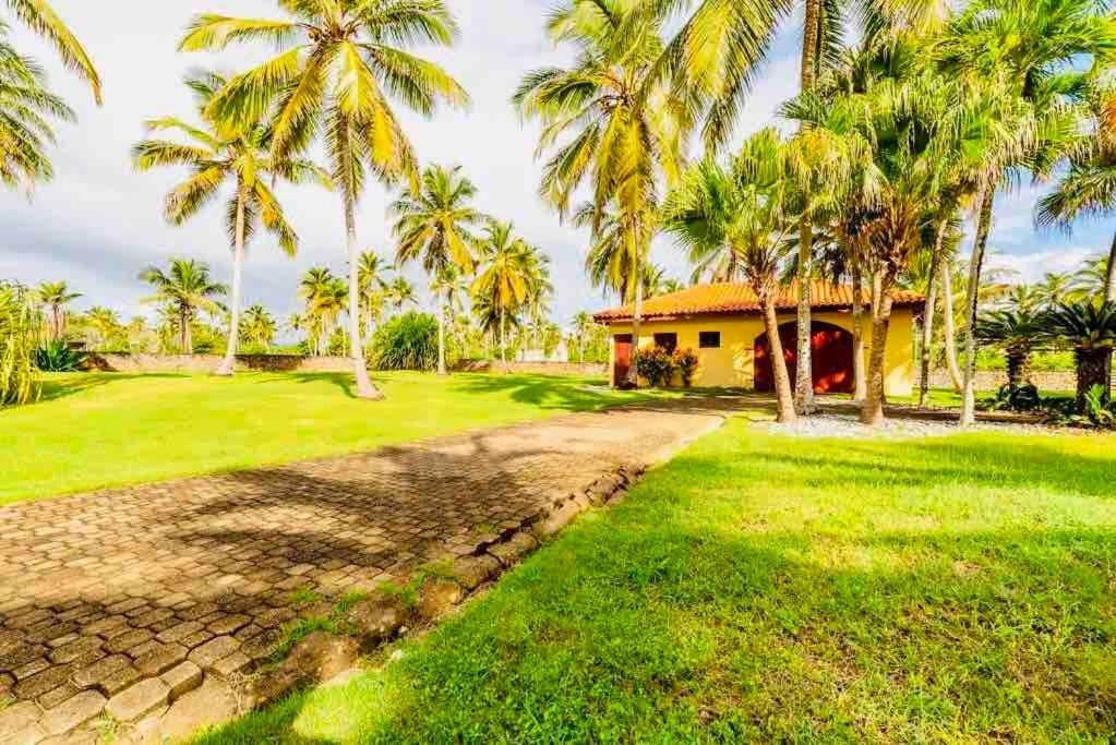 Palm House - Luxury Villa - Samana - Ocean Front Sánchez Екстериор снимка