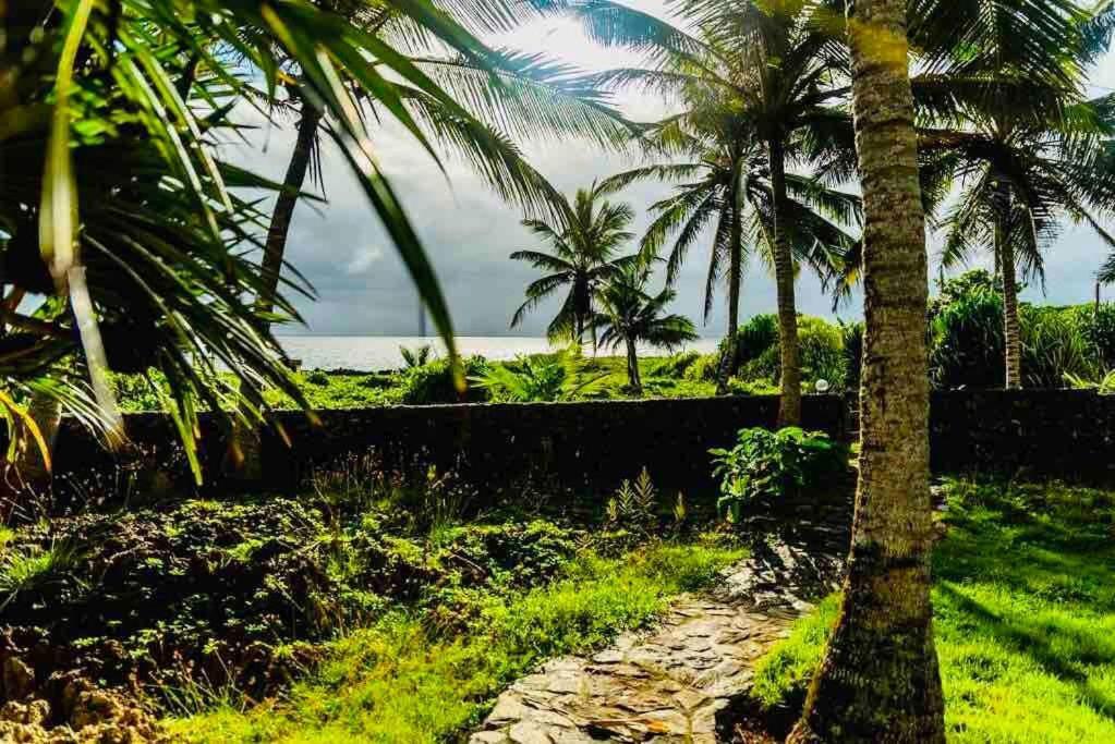 Palm House - Luxury Villa - Samana - Ocean Front Sánchez Екстериор снимка