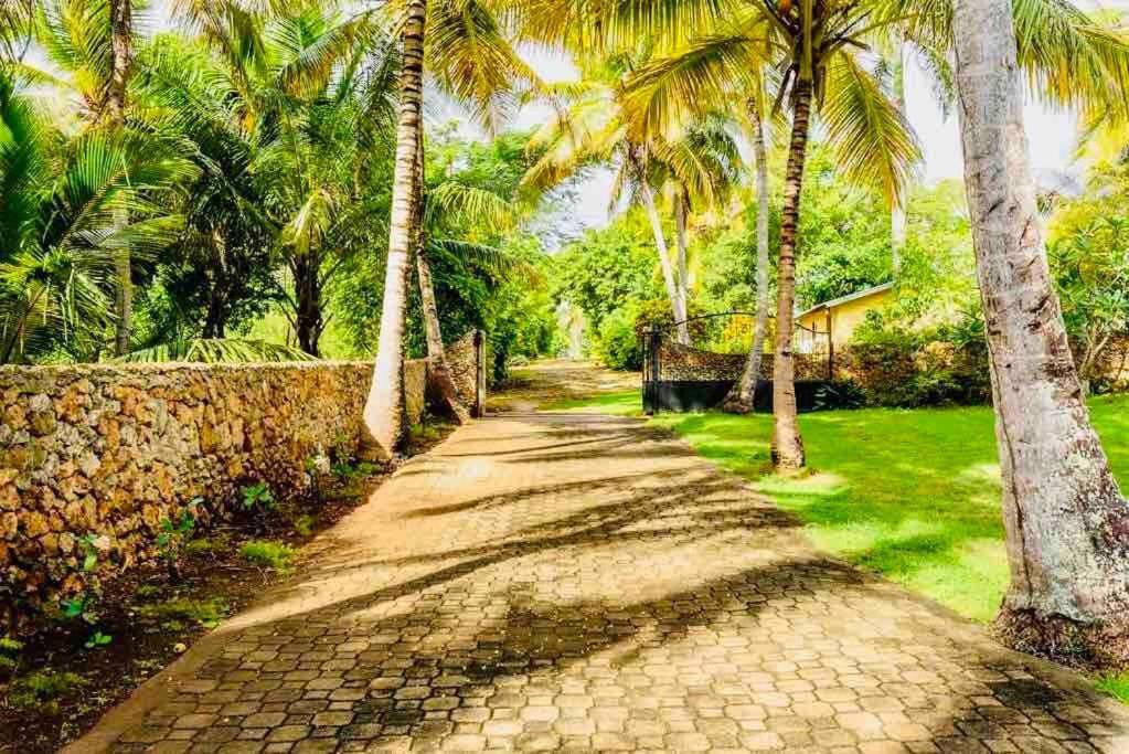Palm House - Luxury Villa - Samana - Ocean Front Sánchez Екстериор снимка