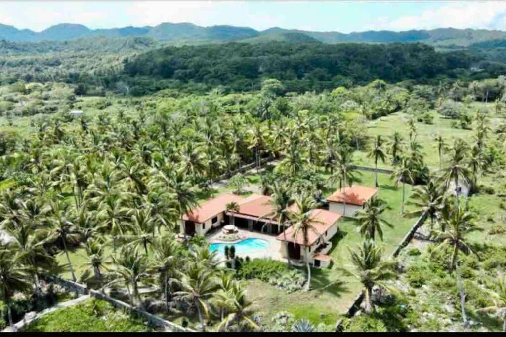 Palm House - Luxury Villa - Samana - Ocean Front Sánchez Екстериор снимка