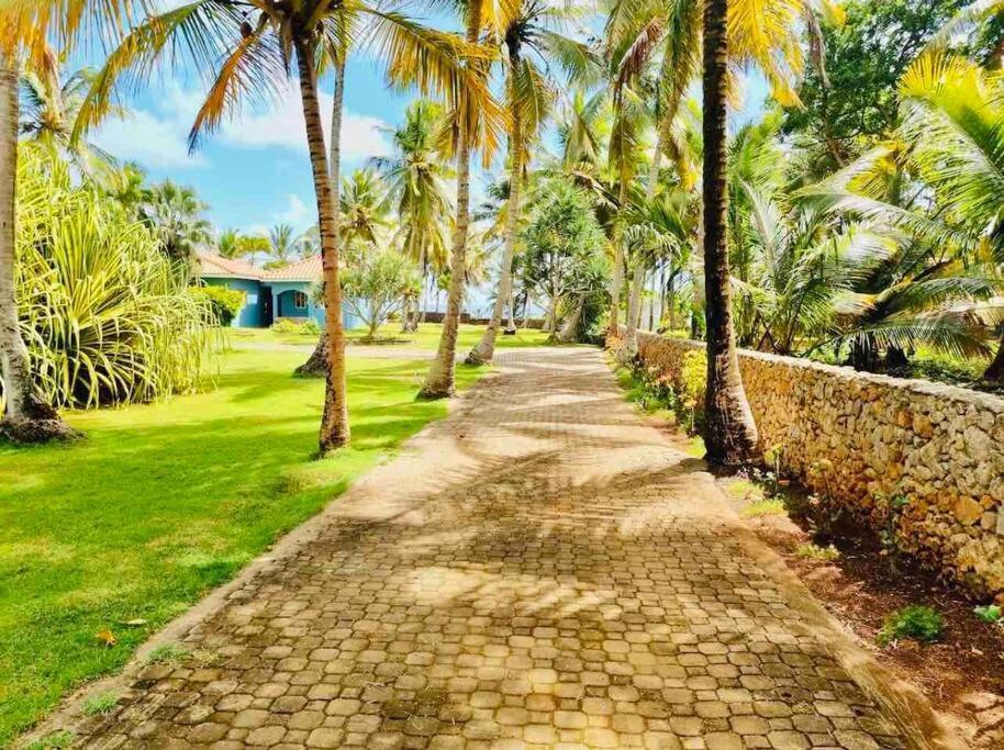 Palm House - Luxury Villa - Samana - Ocean Front Sánchez Екстериор снимка