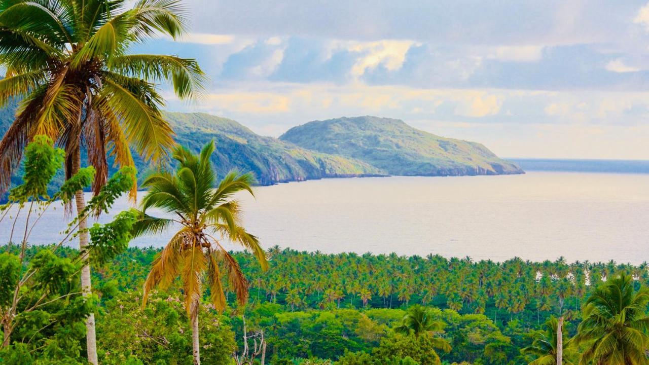Palm House - Luxury Villa - Samana - Ocean Front Sánchez Екстериор снимка