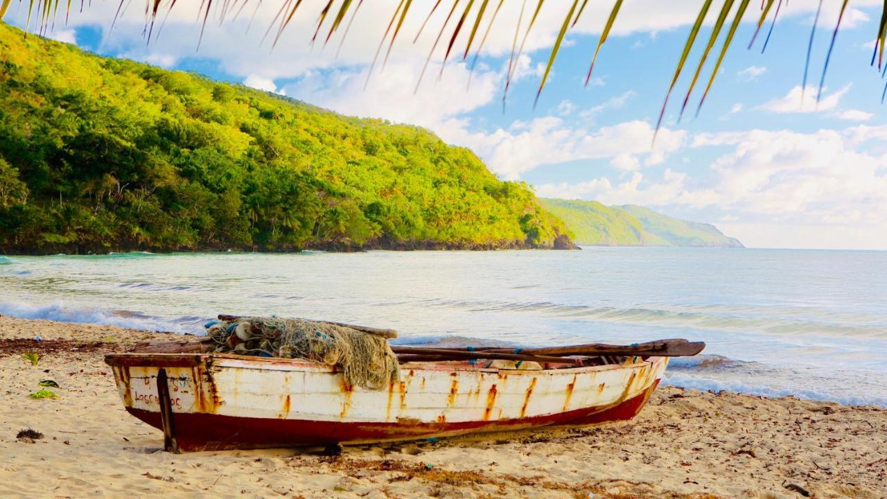 Palm House - Luxury Villa - Samana - Ocean Front Sánchez Екстериор снимка