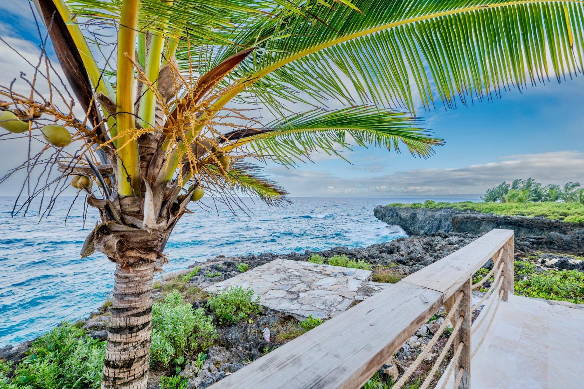 Palm House - Luxury Villa - Samana - Ocean Front Sánchez Екстериор снимка