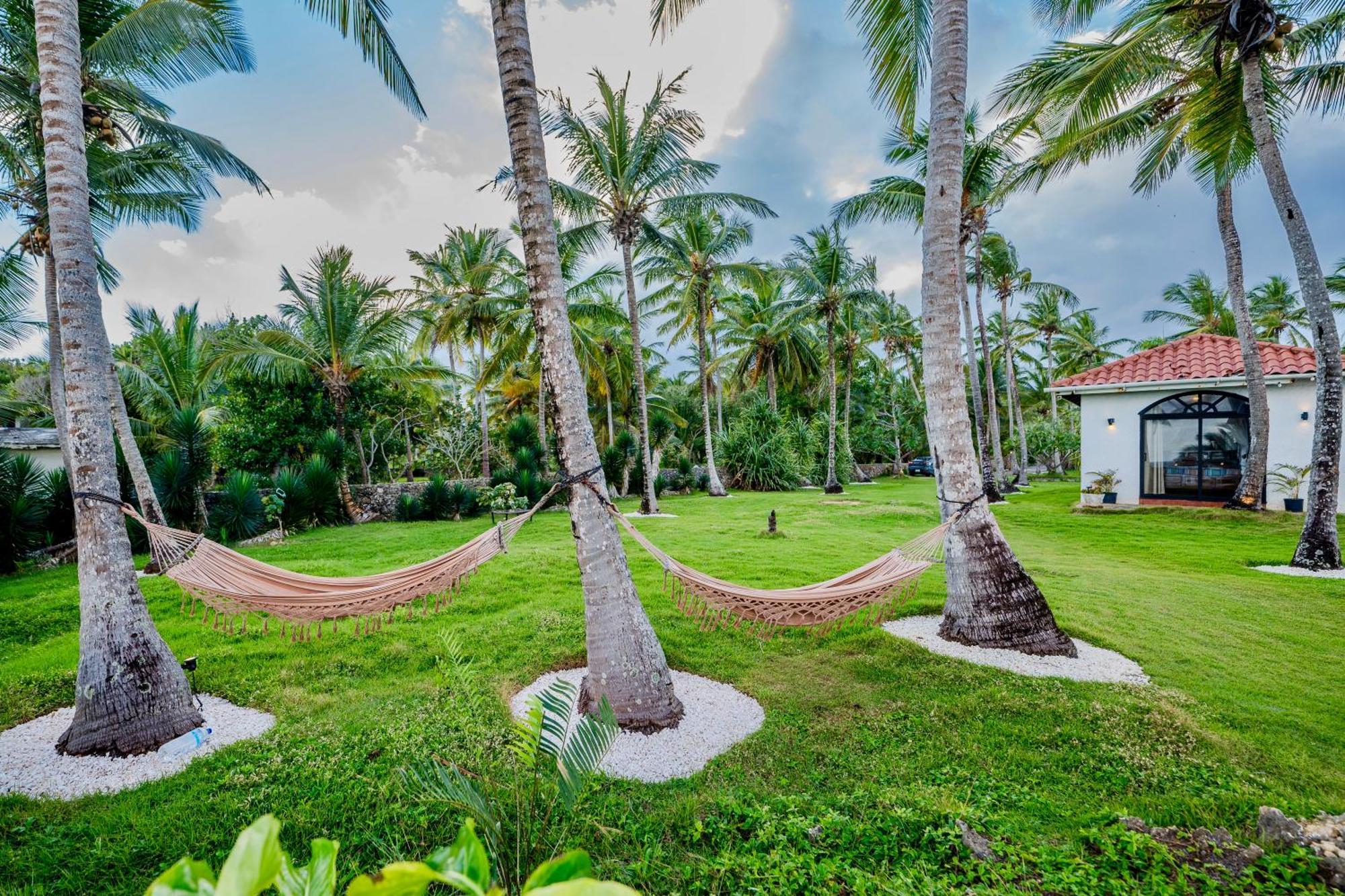 Palm House - Luxury Villa - Samana - Ocean Front Sánchez Екстериор снимка