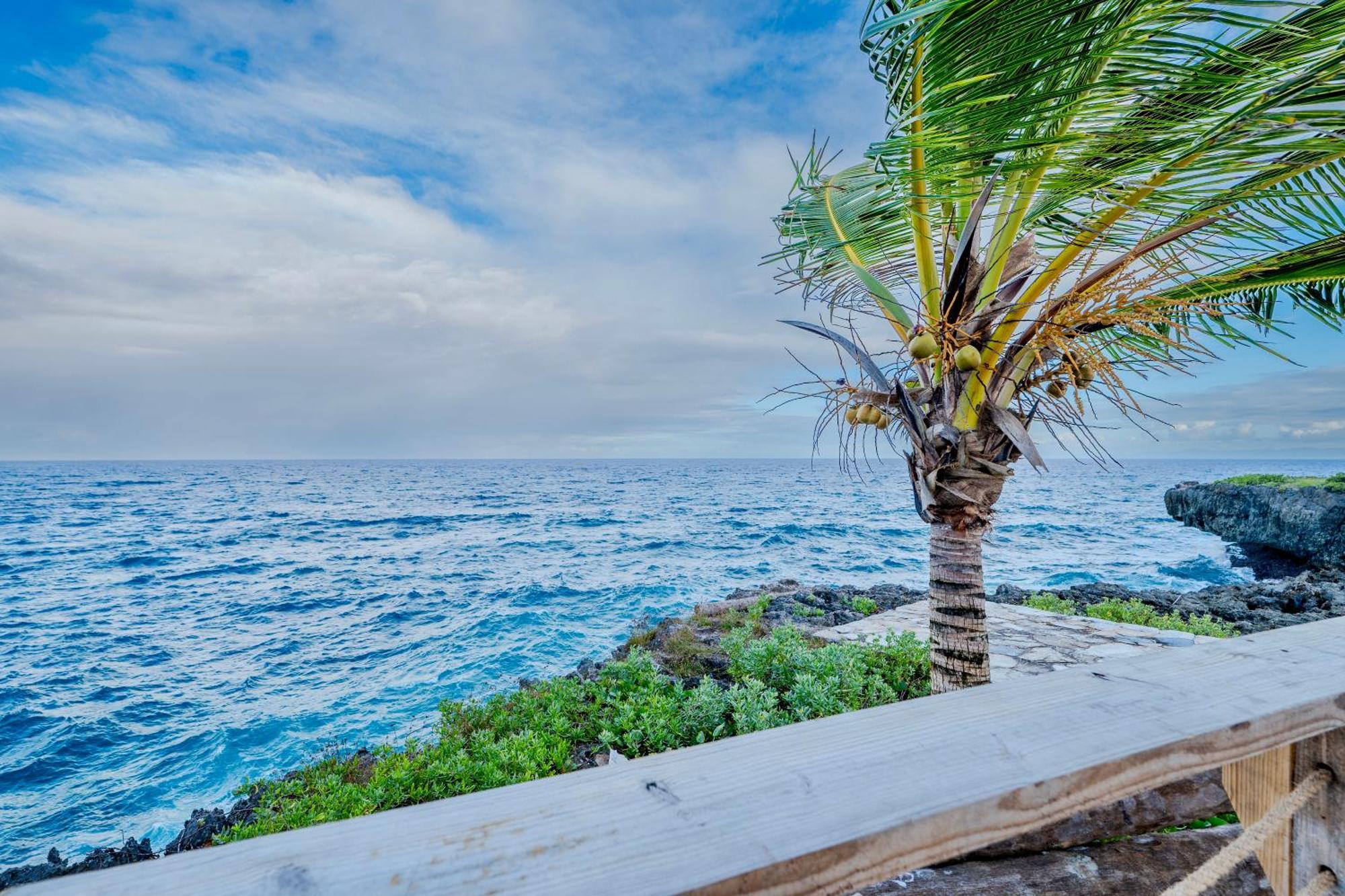 Palm House - Luxury Villa - Samana - Ocean Front Sánchez Екстериор снимка