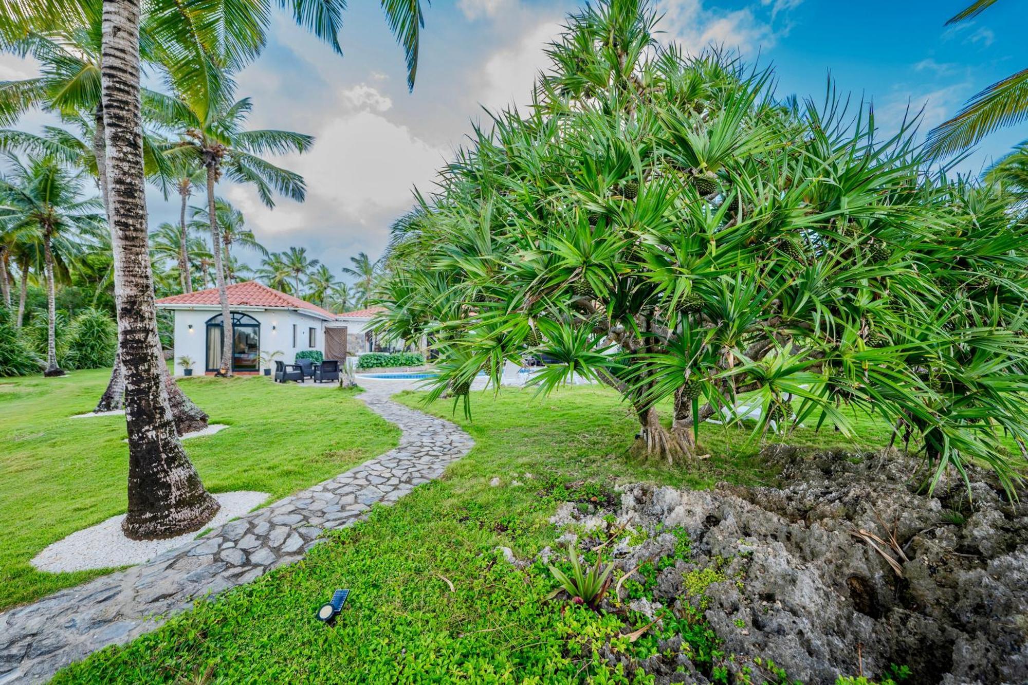 Palm House - Luxury Villa - Samana - Ocean Front Sánchez Екстериор снимка